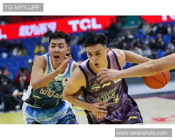 2015年新疆与福建激战回顾精彩瞬间与赛场亮点全解析